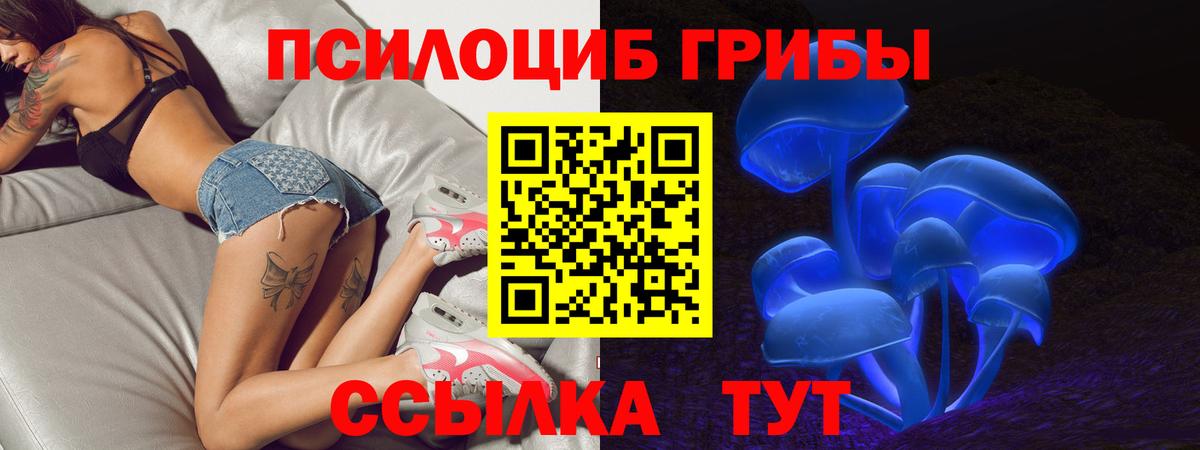 Псилоцибиновые грибы GOLDEN TEACHER  Вход с VPN  Галлюциногенные грибы GOLDEN TEACHER  Куйбышев 